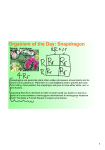 Organism of the Day: Snapdragon