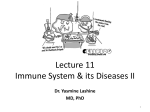Lecture 11- Immunity 2