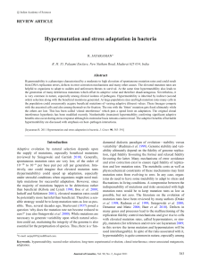 Hypermutation and stress adaptation in bacteria