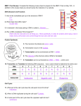 MMP 3 Test Review: Complete the following review sheet to prepare