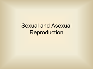 Sexual and Asexual Reproduction