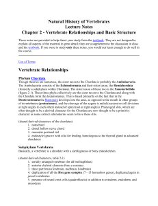 Natural History of Vertebrates Lecture Notes Chapter 2