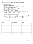 Classifying living things 1. Circle the correct answer: i) Animals with