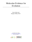 Molecular Evidence for Evolution