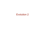 Evolution 2