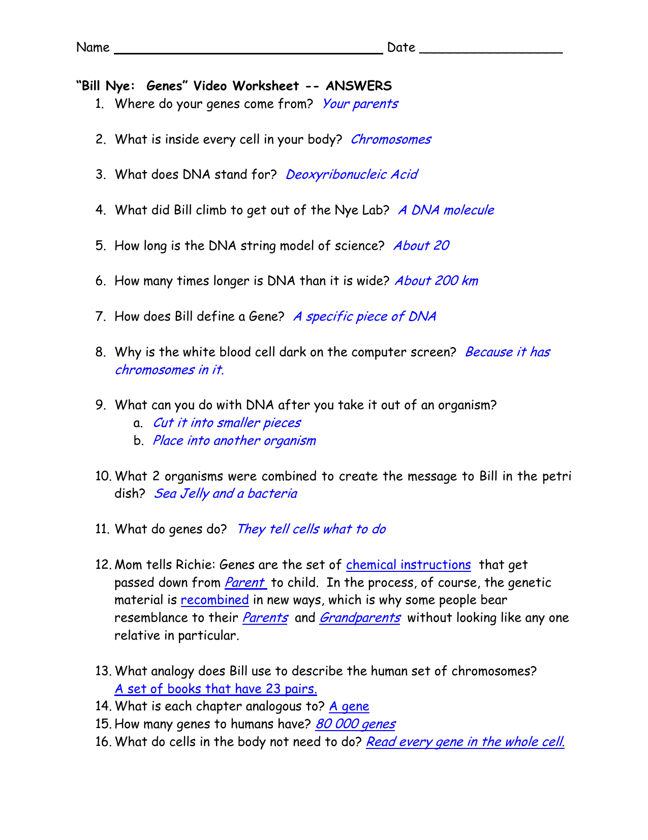 bill-nye-respiration-worksheet