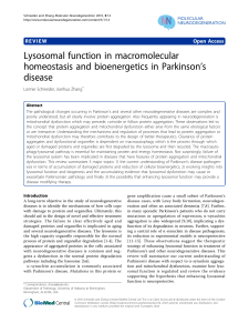 Lysosomal function in macromolecular homeostasis and