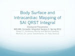 Body Surface and Intracardiac Mapping of SAI QRST Integral