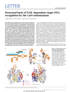Structural basis of PAM-dependent target DNA recognition by the
