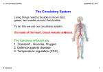 8 - The Circulatory System