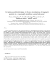 Occurrence and Distribution of Diverse Populations of Magnetic