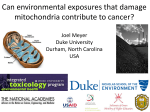Can environmental exposures that damage mitochondria contribute