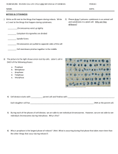 HOMEWORK: REVIEW CELL LIFE CYCLE AND MITOSIS