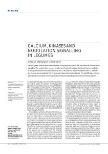 calcium, kinases and nodulation signalling in legumes