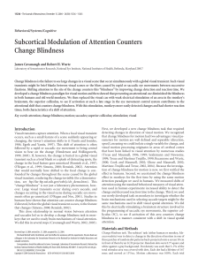 Subcortical Modulation of Attention Counters Change Blindness