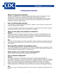Trichomonas Infection Fact Sheet