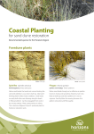 Coastal Planting - Horizons Regional Council