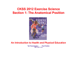 Section 1- The Anatomical Position.pptx