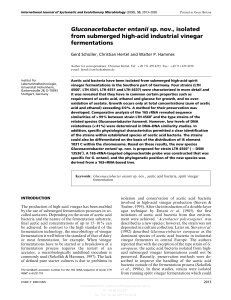 Gluconacetobacter entanii sp. nov., isolated from submerged high