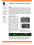 Medaka Fish Haploid Embryonic Stem Cells