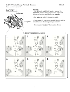 Class3 POGIL Enzyme Mechanics Worksheet