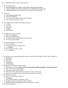 Key – underlined answers are the correct answers 1) In the diagram