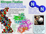 Nitrogen is the stuff of life. Ironically the prefix azo