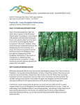Practice #6 – Lower Floodplain Reforestation
