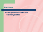 Carbohydrates - Ukiah Adult School