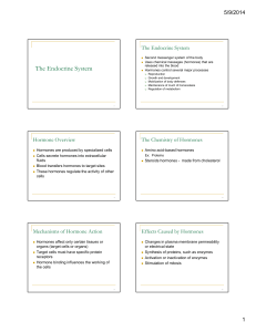 The Endocrine System