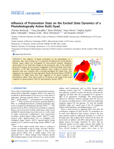Influence of Protonation State on the Excited State Dynamics of a