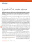 Crosstalk in NF-κB signaling pathways