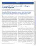 Neuropeptide Y: Neurotransmitter or Trophic Factor in