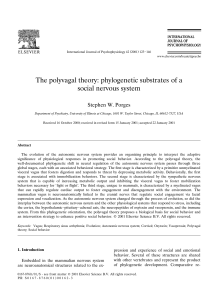 The polyvagal theory: phylogenetic substrates of a