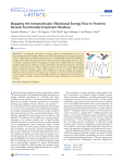 Mapping the Intramolecular Vibrational Energy Flow in Proteins