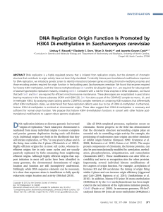 DNA Replication Origin Function Is Promoted by H3K4 Di