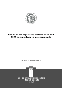 Effects of the regulatory proteins MITF and TFEB on