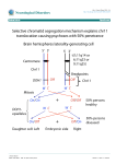 View PDF - CiteSeerX