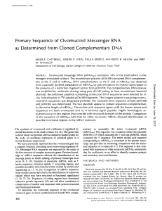 Primary Sequence of Ovomucoid Messenger RNA as Determined