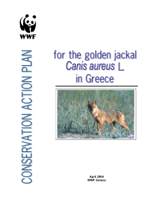 Conservation Action Plan for the golden jackal