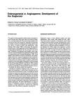 Embryogenesis in Angiosperms