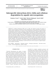Interspecific interactions drive chitin and cellulose degradation by