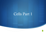 Cells Part 1 - Crossroads Academy