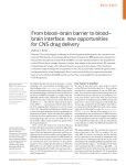 From blood–brain barrier to blood–brain interface: new
