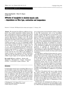 Diffusion of myoglobin in skeletal muscle cells