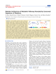 Modular Architecture of Metabolic Pathways Revealed by