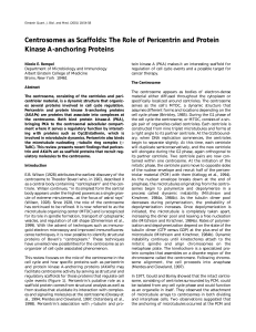 Centrosomes as Scaffolds - Albert Einstein College of Medicine