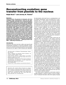 Reconstructing evolution: Gene transfer from plastids to the nucleus
