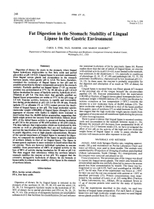 Fat Digestion in the Stomach: Stability of Lingual Lipase in