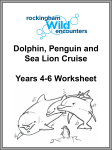 Dolphin, Penguin and Sea Lion Cruise Years 4-6